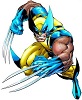 Wolverine1978