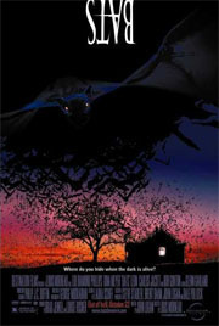 Bats Fliegende Teufel Film 1999 Kritik Trailer News Moviejones