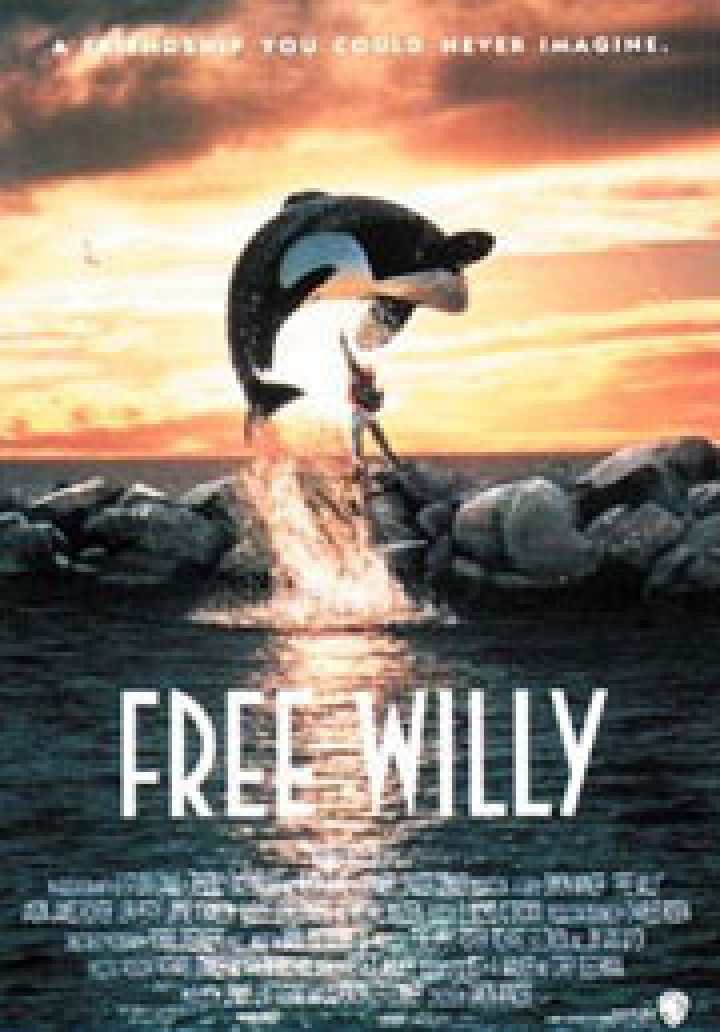Free Willy Ruf Der Freiheit