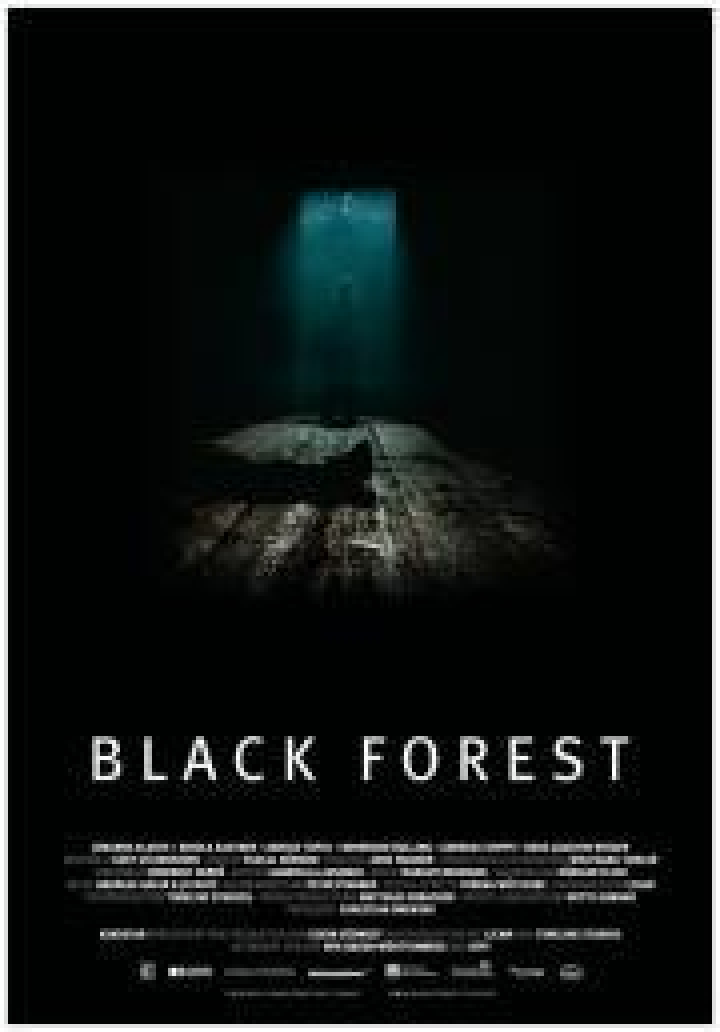 Black Forest Film 2009 Kritik Trailer News Moviejones