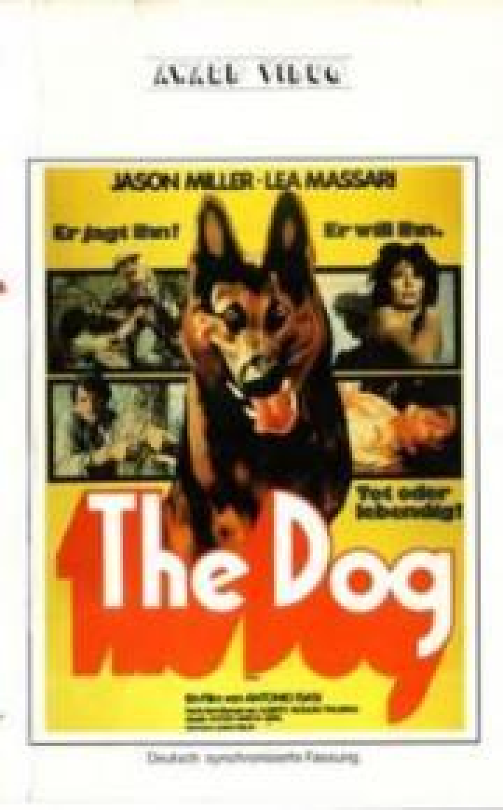 The Dog Film 1976 Kritik Trailer News Moviejones