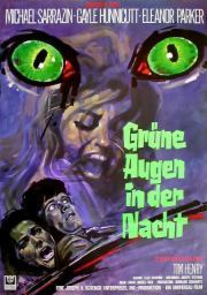 Michael Holm Die Nacht Hat 1000 Augen