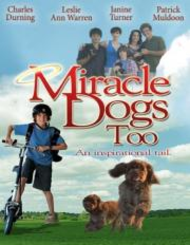 Miracle Dogs Too Film 2006 Kritik Trailer News Moviejones