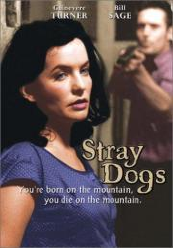 Stray Dogs Film 2002 Kritik Trailer News Moviejones