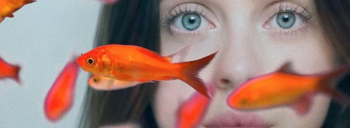 Carrie Pilby Film 2016 Kritik Trailer News Moviejones