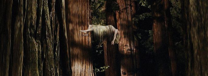 Woodshock Film 2017 Kritik Trailer News Moviejones